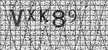 Visual Confirmation Security Code