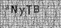 Visual Confirmation Security Code