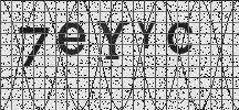 Visual Confirmation Security Code
