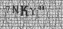 Visual Confirmation Security Code