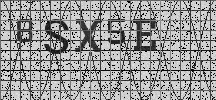 Visual Confirmation Security Code