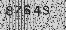 Visual Confirmation Security Code